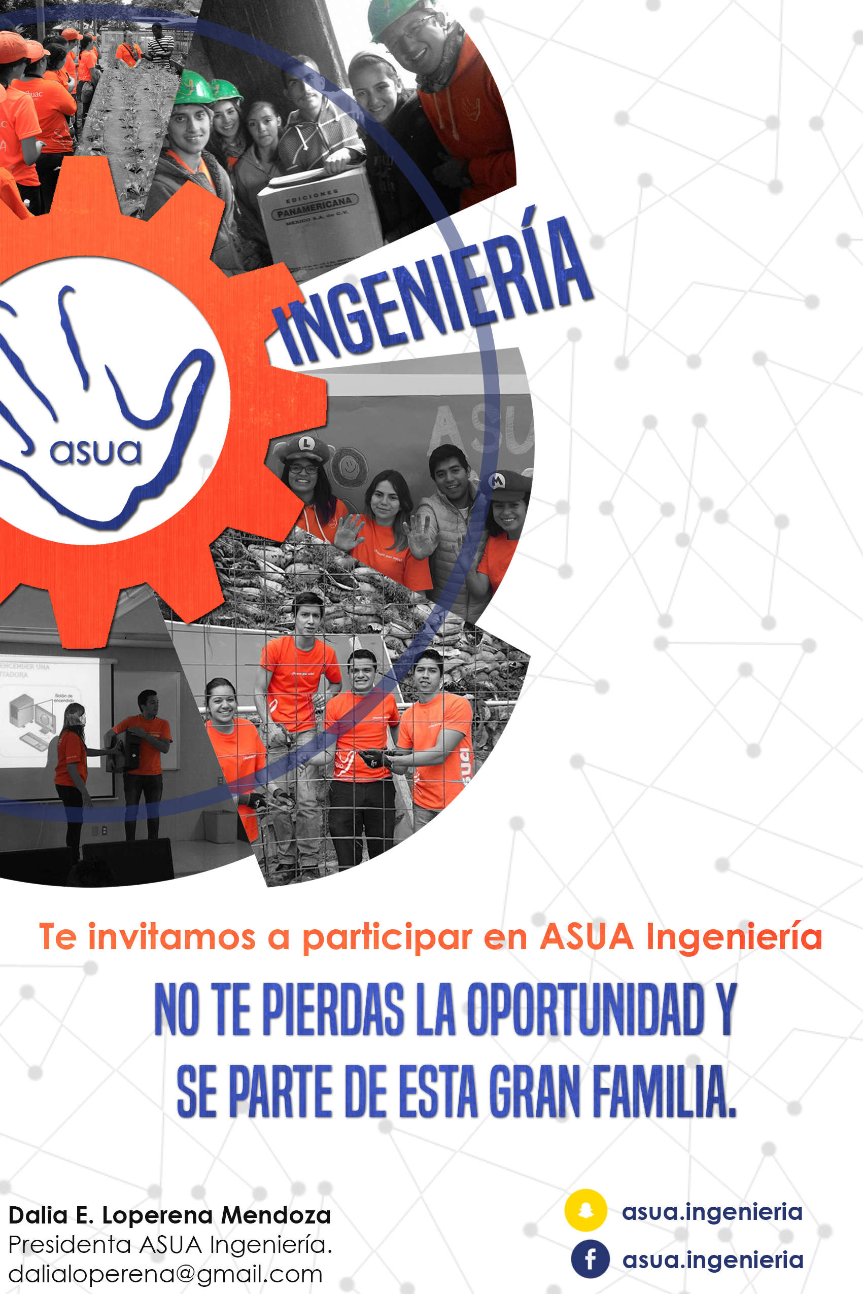 ASUA Igeniería